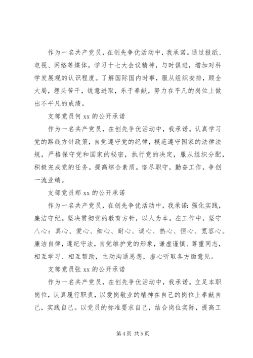支部党员公开承诺书(20XX年).docx