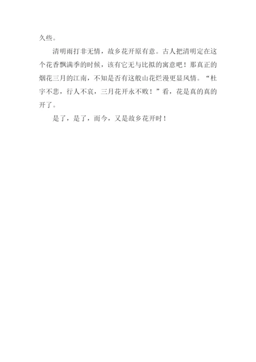 又是故乡花开时作文1000字.docx