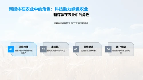 大暑农业生产