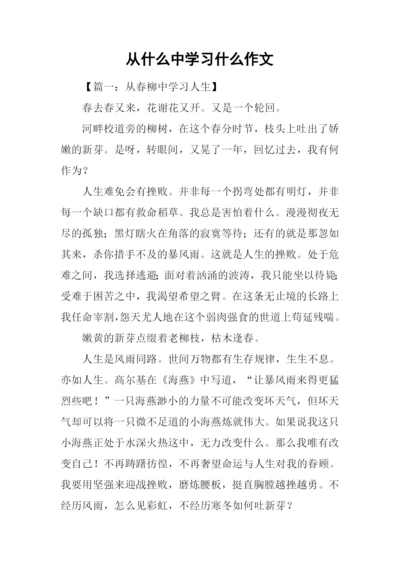 从什么中学习什么作文.docx