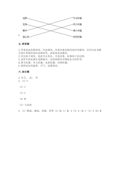 教科版科学四年级下册第一单元《植物的生长变化》测试卷（综合题）.docx