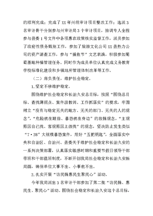 乡镇审计局年度工作总结及工作安排