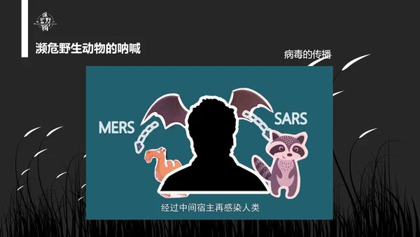 保护野生动物老虎PPT模板