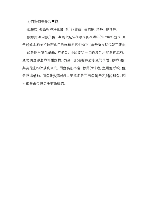鲸说明文作文合集五篇