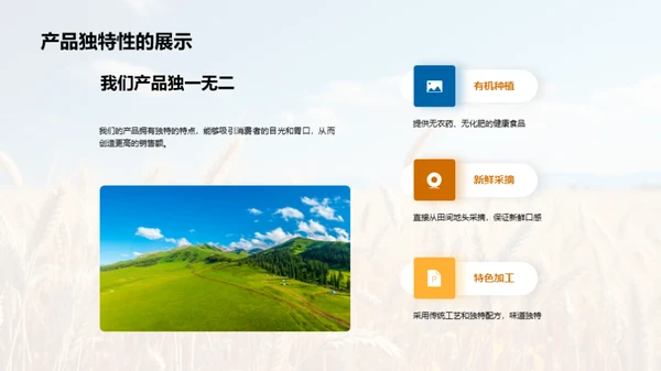 农业市场创新策略