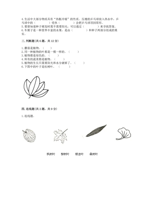 教科版科学一年级上册第一单元《植物》测试卷（突破训练）word版.docx