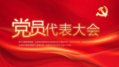 红色党支部党员代表大会工作总结PPT