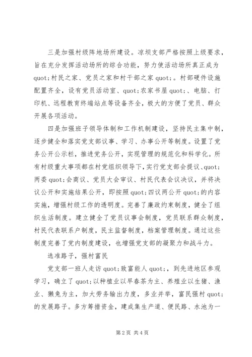 村党支部事迹材料.docx