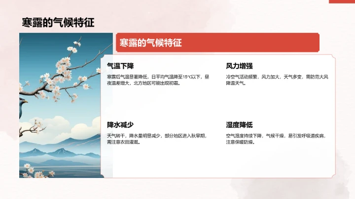 二十四节气寒露PPT模板