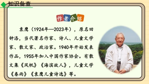 20 井冈翠竹 课件