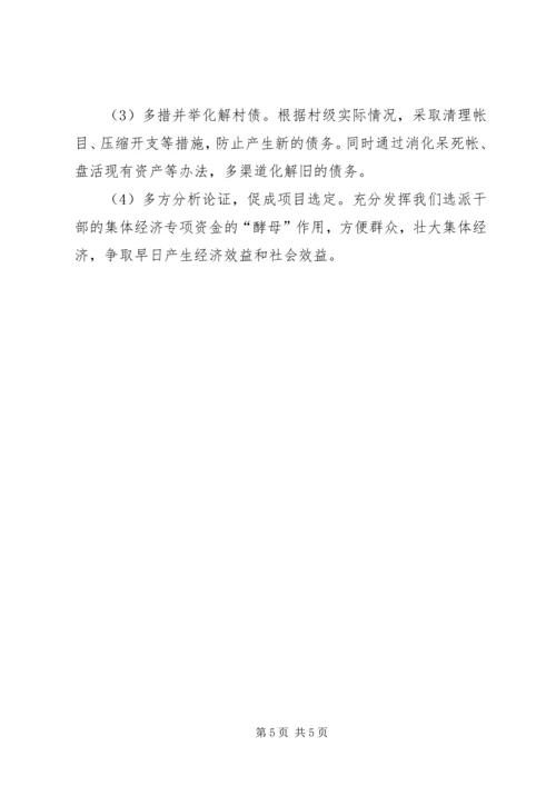 村第一书记任职规划计划 (2).docx