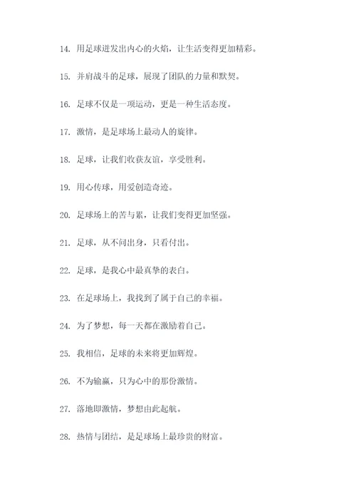 最感动的足球广告语