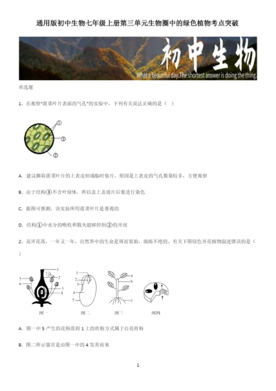 通用版初中生物七年级上册第三单元生物圈中的绿色植物考点突破.docx