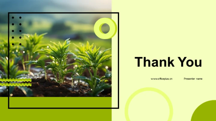 实践谷雨环保农业