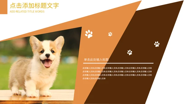 可爱宠物店猫猫狗狗通用PPT模板