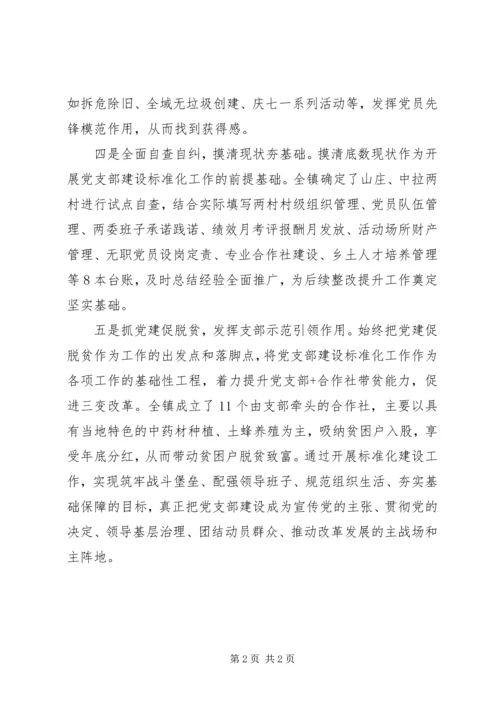镇有序推进党支部建设标准化工作方案措施.docx