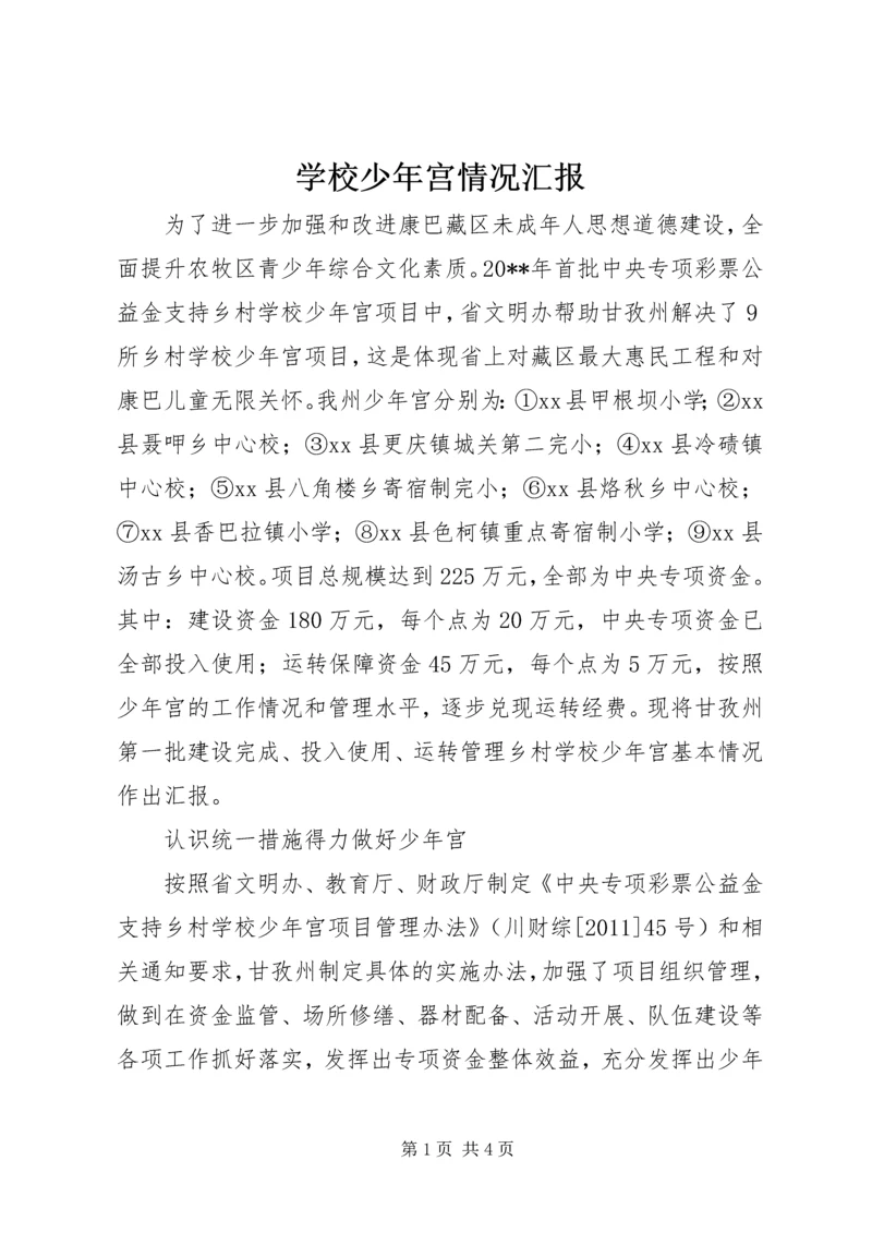 学校少年宫情况汇报.docx