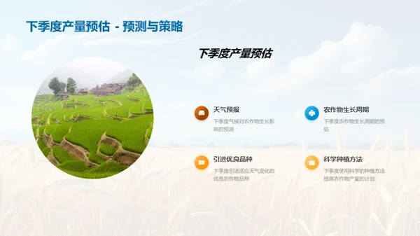 农业产量季度报告