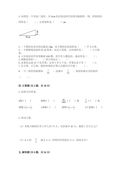 苏教版六年级下册数学期中测试卷含完整答案【精选题】.docx