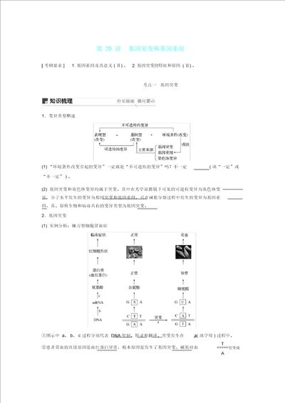 20182019学年高考生物大一轮复习第七单元生物变异育种和进化第20讲基因突变和基因重组学案