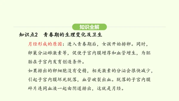 第四单元-第一章-第二节 青春期课件-2024-2025学年七年级生物下学期人教版(2024)(共2