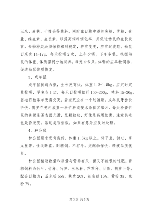 竹鼠养殖计划书 (3).docx