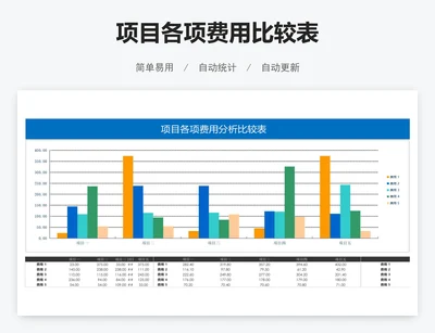 项目各项费用比较表