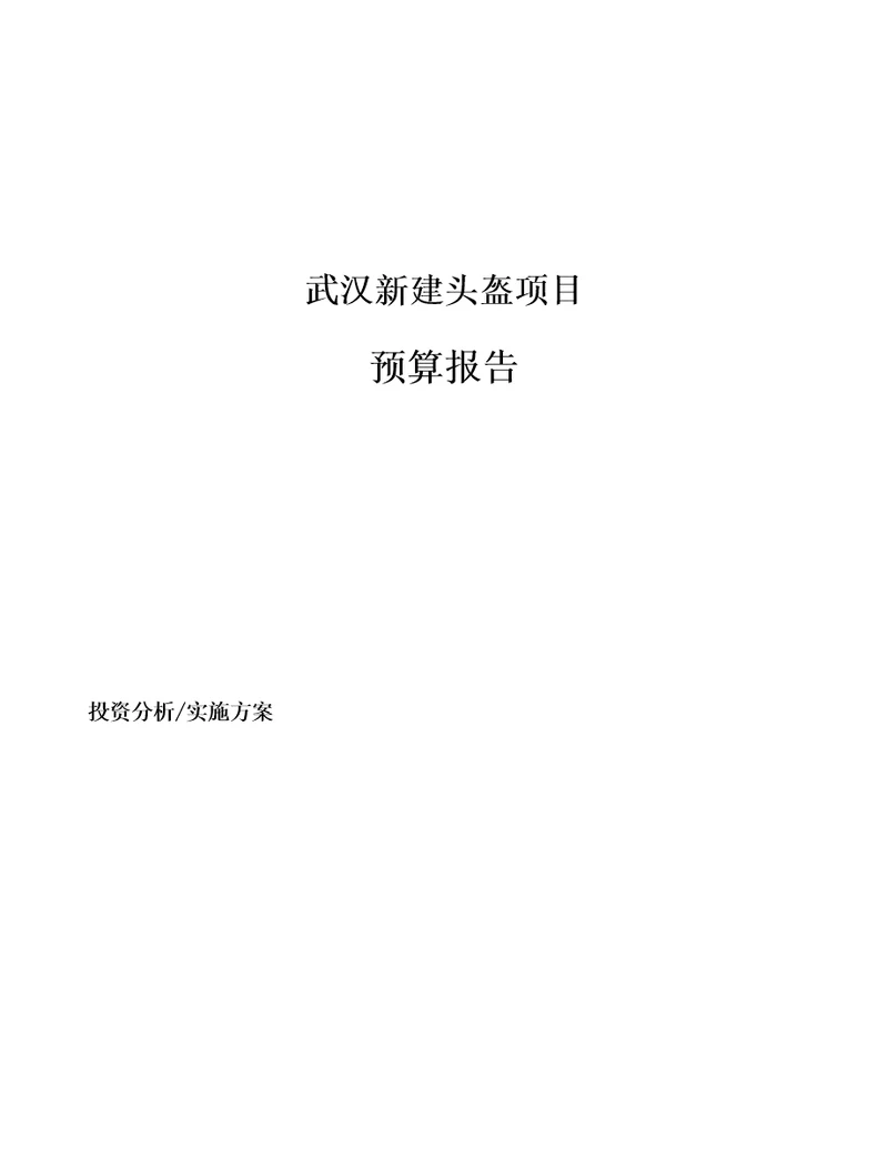 武汉新建头盔项目预算报告