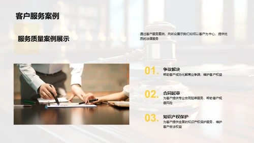 法律领域年度总结