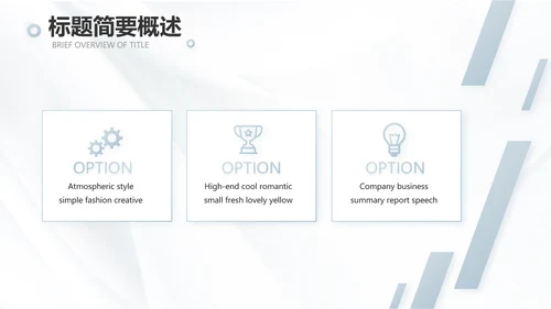 公司品牌介绍宣传策划方案工作总结动态PPT