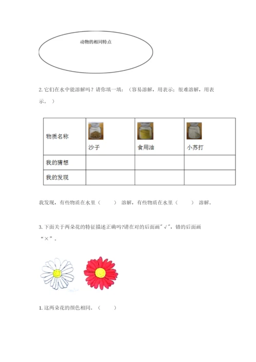 教科版小学科学一年级下册期末测试卷精品【名校卷】.docx