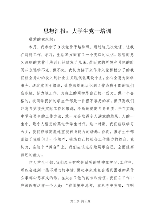 思想汇报：大学生党干培训.docx