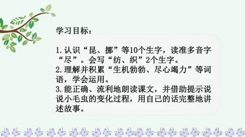 22小毛虫  课件