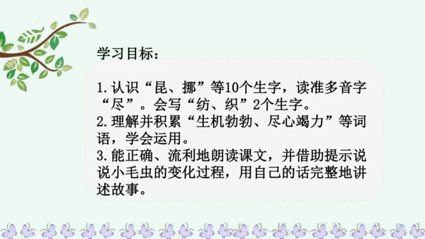 22小毛虫  课件