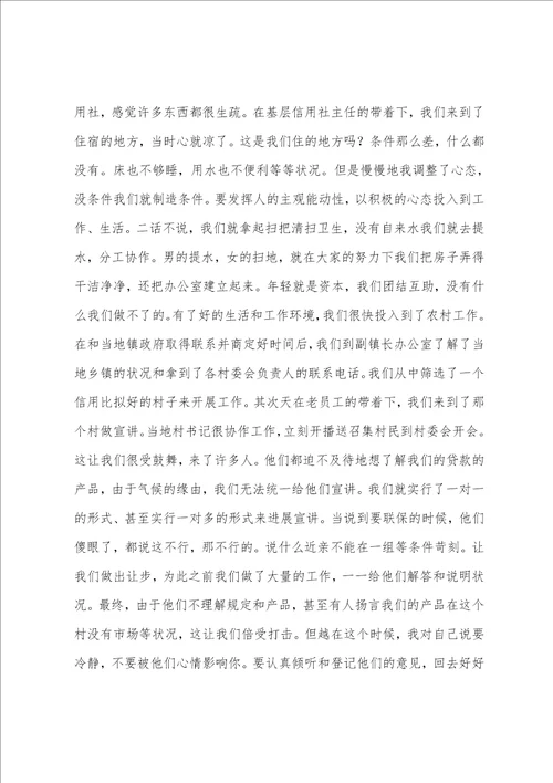 信用社新员工工作体会