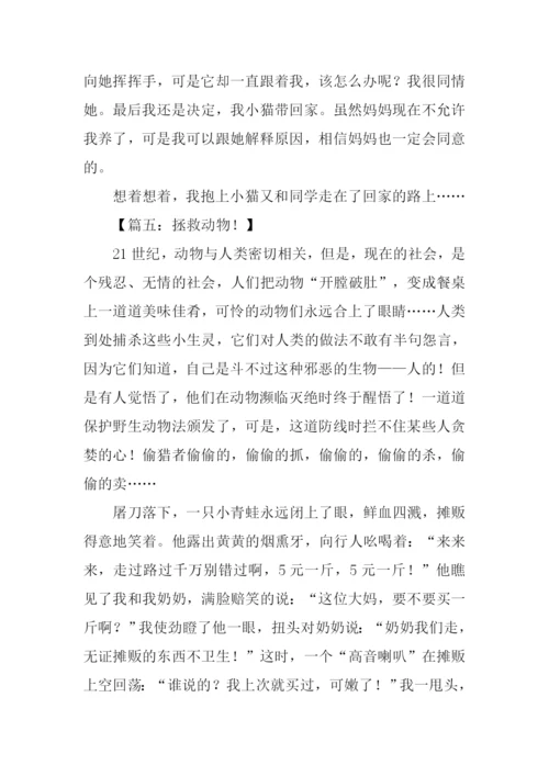动物作文500字0.docx