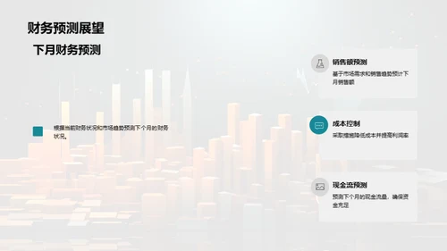 财务状况月度分析