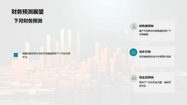 财务状况月度分析