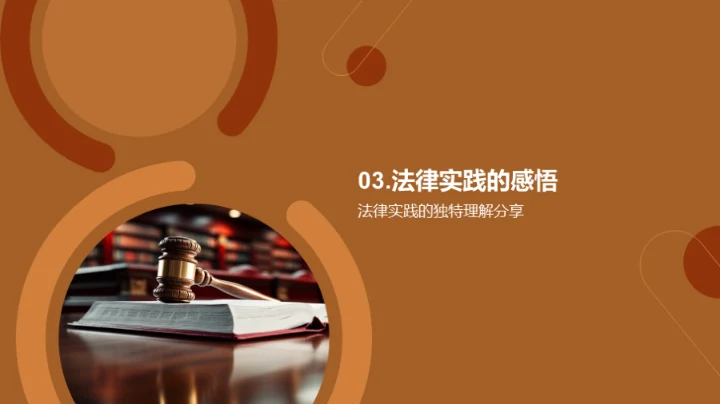 法律实践探索