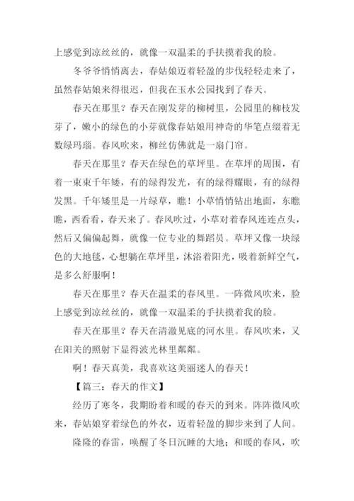 春天的作文700字.docx