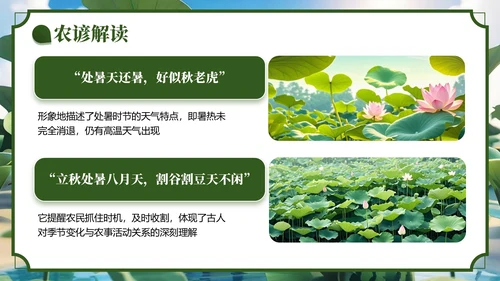 绿色3D风处暑节气主题班会