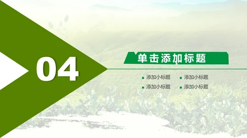 绿色清新茶文化品茶论道动态PPT模板