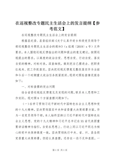 在巡视整改专题民主生活会上的发言提纲【参考范文】.docx