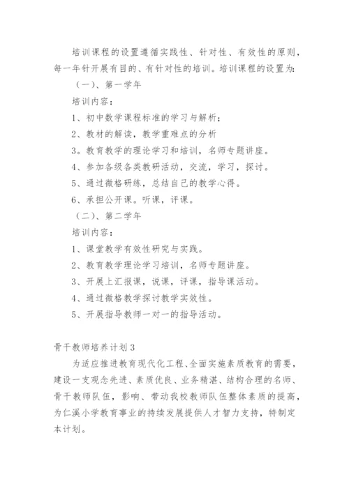 骨干教师培养计划.docx