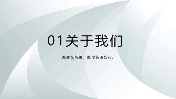 高端品牌介绍策划方案工作总结计划PPT
