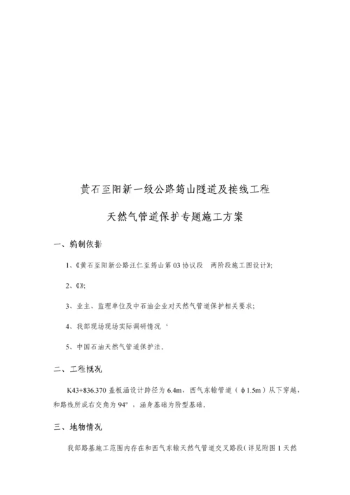 天然气管道保护专项方案.docx