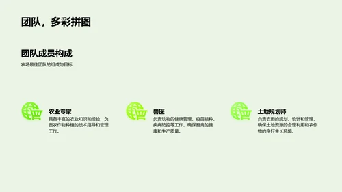 优秀团队年度汇报