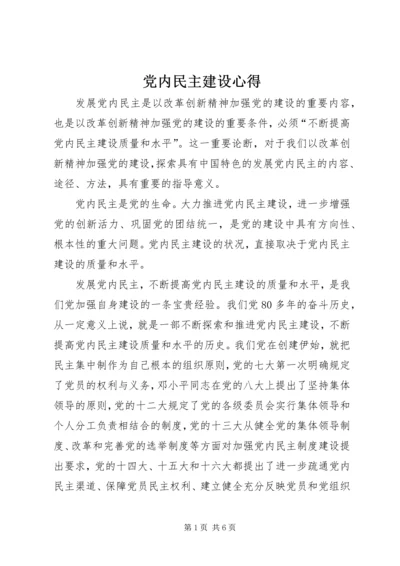 党内民主建设心得.docx