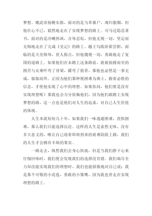 在实现梦想的路上作文.docx