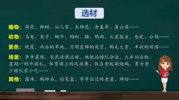 统编版语文三年级上册 第五单元习作： 我们眼中的缤纷世界课件